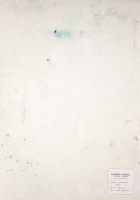 Матвеева Надежда Васильевна. После дождя. Цветущая хоста